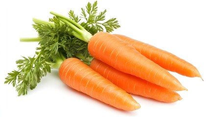 Fresh Carrots With Green Tops Isolated On White