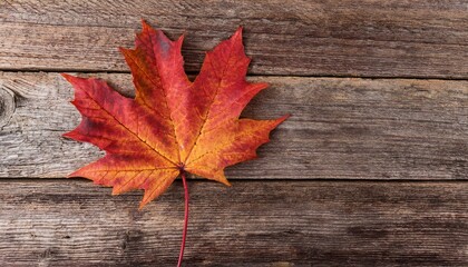 Obraz premium Autumn Leaf on Wood