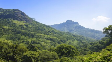Fototapeta premium Green Mountain Landscape Under Clear Blue Sky