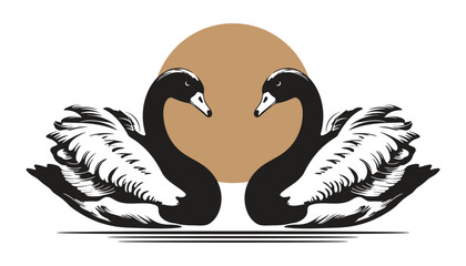 White swan animal vector