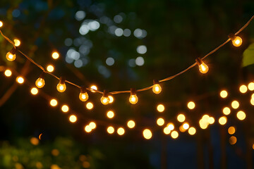 Outdoor string lights illuminate night garden party