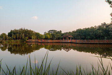 Fototapeta premium reflection of trees in lake