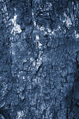 Blue embossed texture of the bark of vertical photo of a tree bark texture