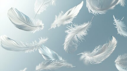 Soft White Feathers Gently Falling Against a Light Blue Background, Symbolizing Purity and Serenity.