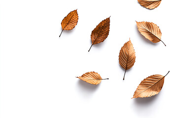 Obraz premium Colorful autumn leaves falling in the air, isolated on a white background, in a minimalistic style. High-resolution photography with high-quality details. 