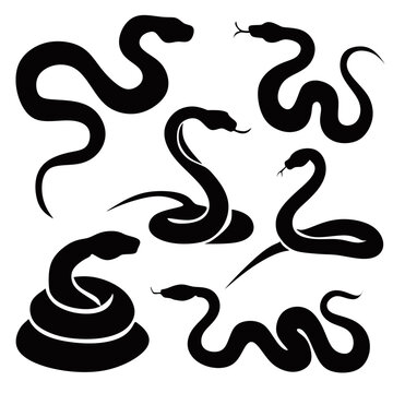 Set of snake silhouette vector