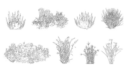 set of shrubs line cad, minimal isolated on white background. Ground cover. Illustration for elevation architectural element, side view, grass section. Turf coating banners for edging