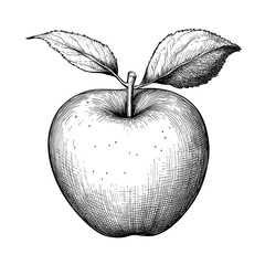 Vintage Apple Illustration
