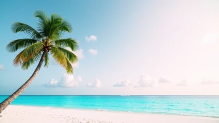 Obraz premium Serene tropical beach scene with a leaning palm tree and tranquil turquoise ocean