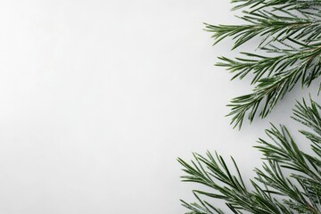 Fresh Green Rosemary Sprigs with Faux Snow on White Background, Flat Lay with Copy Space