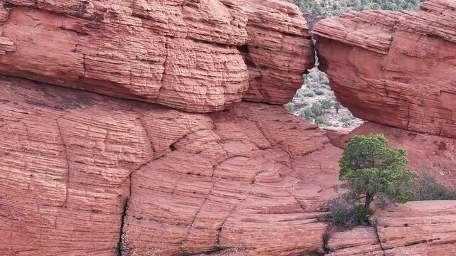 Aerial window tree red rock sandstone mountain Utah sli. Red rock mountains, desert and canyon. Dry rugged Utah terrain. Sport recreation travel and nature environmental family fun. Canyon wilderness.