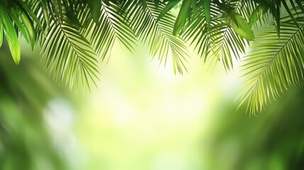 Lush Tropical Greenery Palm Leaves Border on Bokeh Background