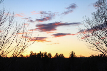 sunset over the forest