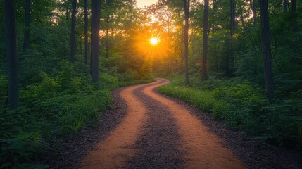 Obraz premium Serene winding path through lush green forest at sunset, inviting exploration and tranquility