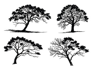 Set of Large Tree Silhouette Clipart – Big Collection of Isolated Tree Silhouettes, Vector Illustration