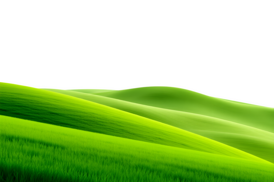 Green grass line on a white background.