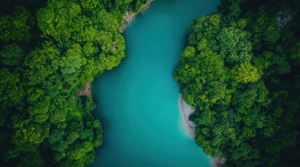 Naklejka premium Aerial View of Serene Turquoise Lake Surrounded by Lush Green Forest