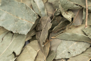 a pile of dried bay leaves