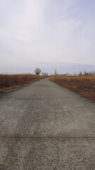 road in the desert