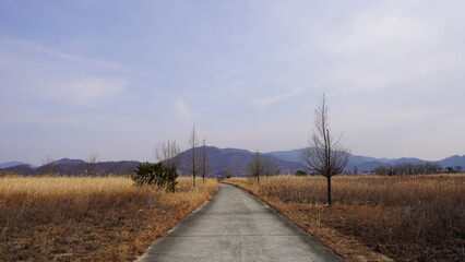 road to the sky