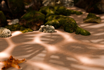 Sea Stones On Sand Beach