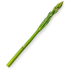 Naklejka premium Fresh Green Asparagus Stem Isolated on White Background Showcasing Organic Vegetable Nutrition for Healthy Cooking and Diet Choices