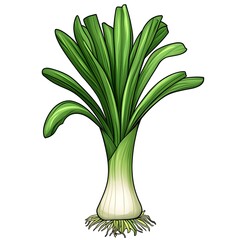 Fresh Green Leek with Vibrant Leaves and Crisp White Base, Ideal for Culinary Uses and Healthy Cooking Representations in Illustrative Style