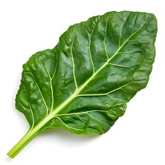 Fototapeta premium Fresh Green Leafy Vegetable Perfect for Healthy Meals, Salads, and Weight Loss, Isolated on White Background for Culinary and Nutritional Use