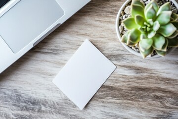 Minimalistic Workspace Arrangement with Succulent Plant and Blank Card on Table