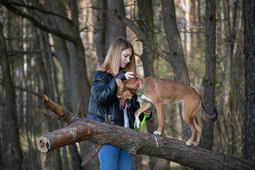 Young beautiful girl in the forest with a dog.