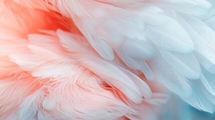 Obraz premium Delicate Feather Texture: Soft Pink and Blue Abstract Background Design