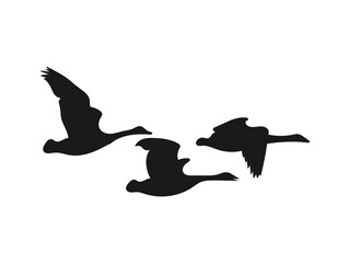 vector silhouette flying geese set. Black silhouettes of geese flying in formation against a white. Set of silhouettes of flying geese. The silhouettes are isolated on a white background.