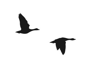 vector silhouette flying geese set. Black silhouettes of geese flying in formation against a white. Set of silhouettes of flying geese. The silhouettes are isolated on a white background.