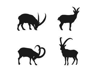 Four Silhouettes of Ibex, Perfect for Wildlife Design. A collection of four black silhouettes of ibex, each in a different posture. The silhouettes are isolated on a white background.
