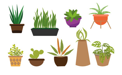 houseplants set house decor plants succulents indoor exotic flowers stems leaves monstera ficus pothos yucca dracaena cacti snake plant home interior illustration
