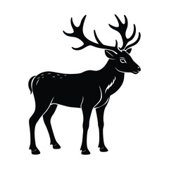 Fototapeta premium caribou 