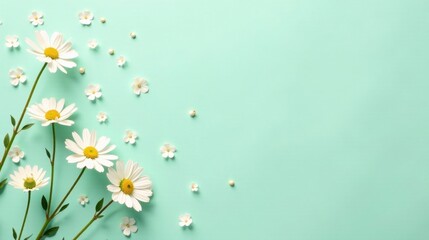 Serene arrangement of delicate white blossoms scattered across a pastel green background, creating a calming and minimalist floral design.