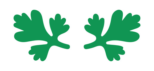 Pair of cilantro leaves fresh cooking herb vector design