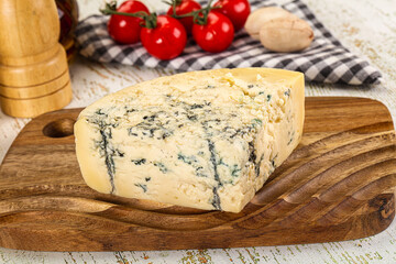 Gourmet blue cheese with mold