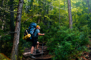 A male tourist with a backpack in the forest