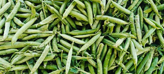 A pile of fresh green peas.