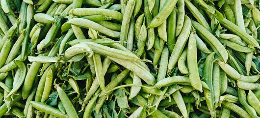A pile of fresh green peas.
