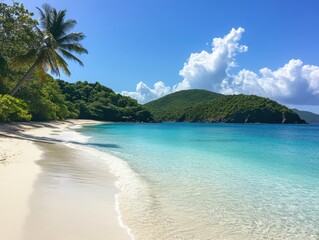 Fototapeta premium Serene tropical beach with clear blue waters and lush greenery
