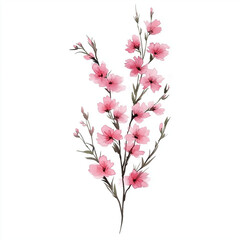 Illustration of a pink cherry blossom tree 