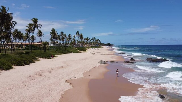 A drone glides over a stunning Salvador de Bahia beach lined with palm trees, then moves down to reveal a Black Brazilian man in a white sunga running along the sunny shoreline.