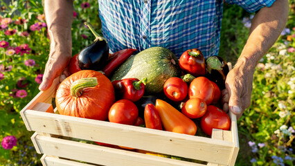 Farmer with vegetable and fruit in garden