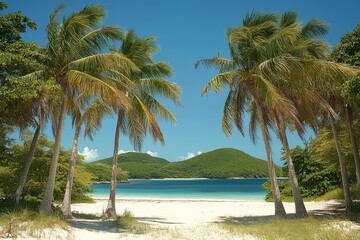Beautiful tropical beach with palm trees, clear blue sky, white sand, and turquoise ocean, offering a relaxing vacation atmosphere on an exotic island.