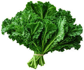 A bundle of organic kale leaves with rich green color, crinkled texture, and visible stems, floating on a transparent background