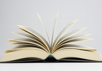 Obraz premium open book, pages fanned out, cream-colored paper, vintage appearance, knowledge concept, literary theme, soft lighting, minimalist composition