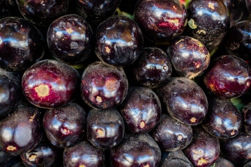 Eggplants lined up on a stall in a store